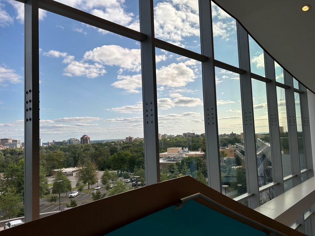 Transition to a Pharma Clinical Statistician – What I Have Learned So&nbsp;Far